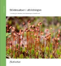 Steg för att skapa en tillgänglig lärmiljö 1. Ledning & stimulans som alla elever får ta del av. Skolans kompensatoriska uppdrag.