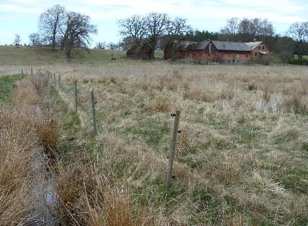 Den västra halvan som gränsar till Orehusbäcken, har varit ohävdad under lång tid och präglas åtminstone delvis av höga vassar och ett visst inslag av al och viden.