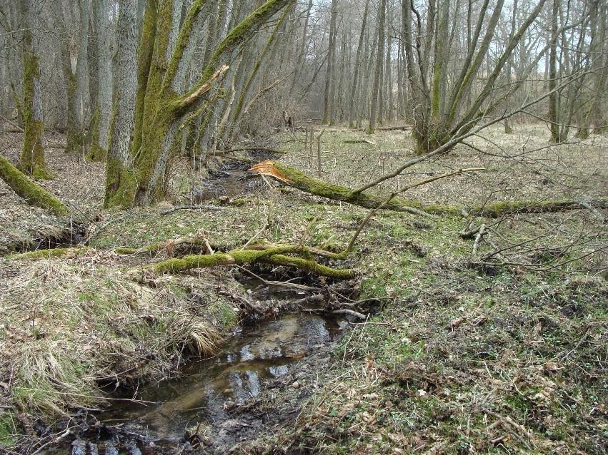 Skötselområde 13. Sandrännan Areal: 1,0 hektar Beskrivning Sandrännan är beläget utmed bäcken vid den nordvästra bygränsen och ingick i den betade utmarken vid 1700-talets början.