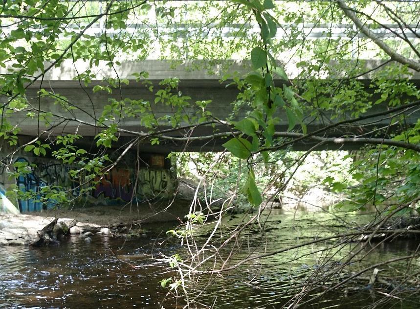 Vattnet var betydligt grumligt om än förhållandevis klart i jämförelse med de flesta övriga undersökta åar. Broströmmen har mycket god motståndskraft mot försurning och ph låg genomgående över 7.