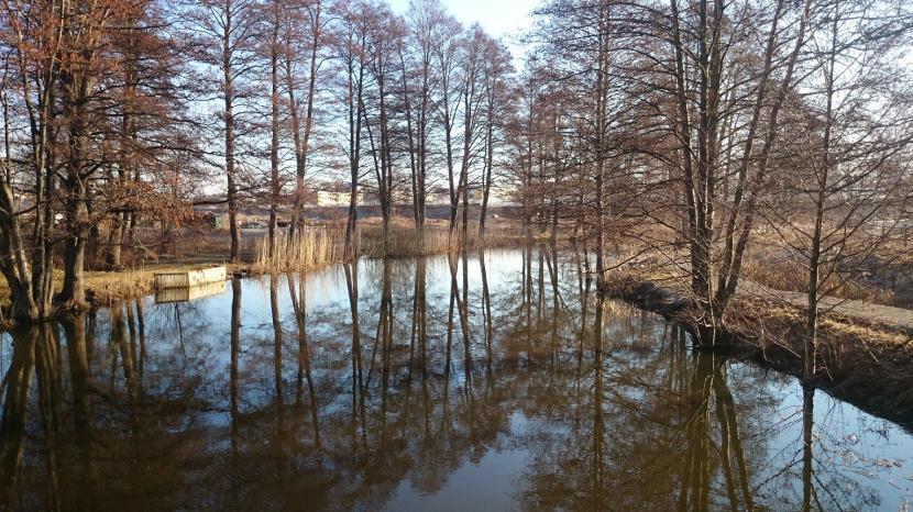 Figur 22. Provtagningslokalen i Norrtäljeån vid Vargbron, strax nedströms sjön Lommaren. Norrtäljeåns vatten var genomgående syrerikt trots att mängden syreförbrukande organiskt material var hög.