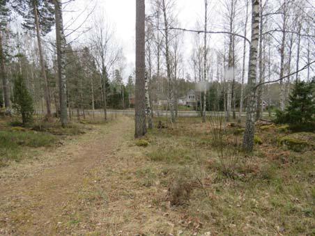 FÖRUTSÄTTNINGAR Mark och vegetation Aktuellt planområde har varit planlagt för bostäder sedan gällande detaljplan upprättades 1973.