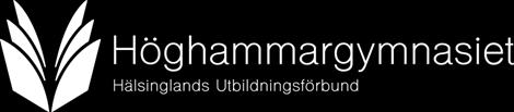 Alla uppgifter måste vara ifyllda, annars sändes ansökan åter Föräldrar Enskild vårdnad Gemensam vårdnad Eleven Familjehemsplacerad Elevens tilltalsnamn Personnummer.