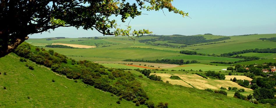 South Downs Way, Winchester - Eastbourne, 7 nätter 1(6) Vandra i England South Downs Way, 7 nätter Winchester - Eastbourne, 6 vandringsdagar South Downs Way i södra England är en populär vandringsled