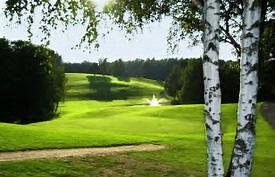 Damgolf på Billingens GK Golfsäsongen 2018 I Billingens Golfklubb är vi cirka 750 medlemmar varav drygt 200 är damer.