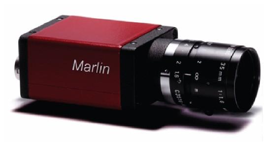 Figur 4: AVT Marlin F-131 B/C 3.