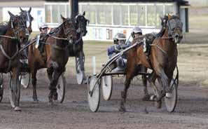 Hästskötre: Mrit onsson Vi levererr teknik för sport,