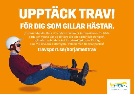 Strt 8: ODDS Bnkod 8 Svensk Trvsports Unghästserie - Treåringslopp Ston -årig svensk ston högst. kr. m. Voltstrt. Pris:.-.-.-.-8.-.-.-. (8 priser) Svensk Trvsports hederspris till segrnde hästs ägre, hästskötre oh uppfödre.