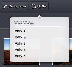 8. Flytta filer Det är även möjligt att ändra vilket valv en fil tillhör. Välj filen genom ett klick på filen i visningsområdet följt av ett tryck på knappen Flytta.