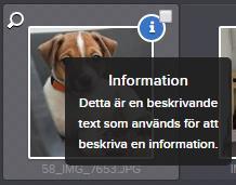 13. Informationsikoner Det går att tagga filer med olika ikoner och tillhörande