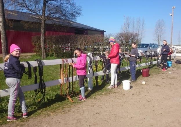 Stallet i Viarp vår jordnära ledarskola Hästskötare Målet är att alla ridskolans hästar ska ha två skötare.