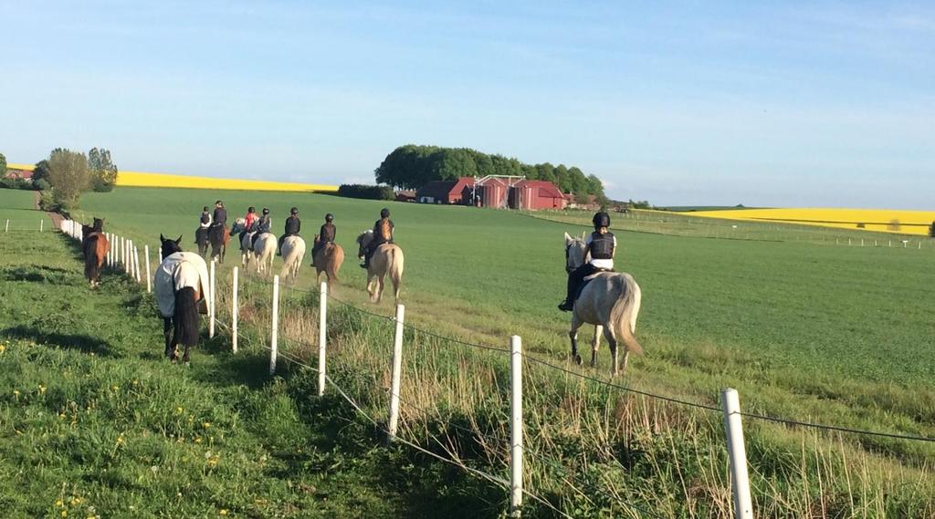 Vet ni att vi under våren har haft 17 kurser, 13 tävlingar, 1400 lektioner, 4 fixardagar, 14 cafeteriadagar och en stor Påsk show? Detta hade inte varit möjligt utan alla er och era krafttag.