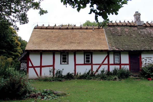 De gamla ryggaträna låg mycket tätt, vissa nästan helt inpå varandra, varför det nya avståndet ger ett mer traditionellt utseende.