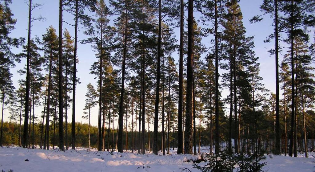 16 Skogsbygden Skogsbygden ingår i sydsvenska höglandets naturgeografiska region. Skogsbygden omfattar området kring Hökensås där förutsättningarna för jordbruk har varit och är begränsade.