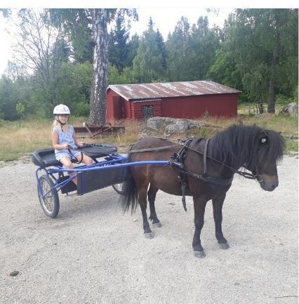 något annat) För dig med funktionshinder - en gratis tur i valfri vagn och för alla barn/syskon mellan 3 15 år en gratis tur med ponnyn.