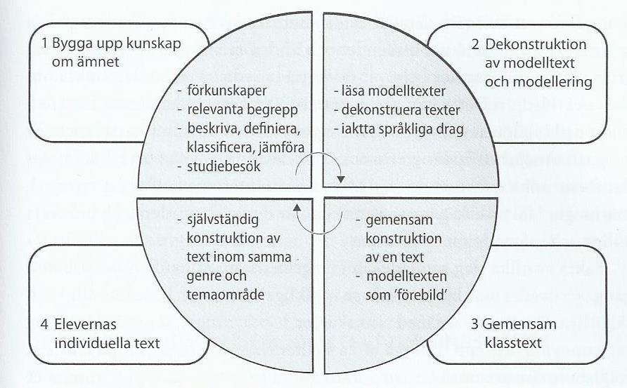 Ben 3: Vilar på den australiska modellen cykeln för undervisning och lärande vilken även kallas cirkelmodellen (Kuyumcu, 2013a:8, Johansson & Sandell Ring, 2010:32).
