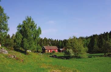 Yttra Berg Lördag 28 juli kl. 13.00 Slåtter i Yttra Berg Alla är välkomna att delta i årets slåtter. Ta med eftermiddagsfika och gärna lie och räfsa. Kl. 18.