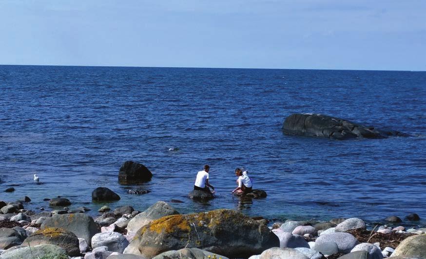 Vad kan man hitta på stranden i Västra Getteröns reservat? Följd med oss ut och ta reda på svaret. Foto: Annelie Ohlsson. Getterön Lördag 4 augusti kl. 10.
