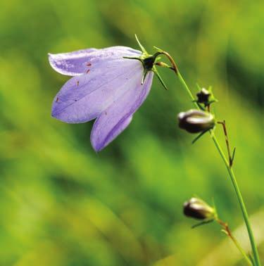 #reservatihalland Naturen är till för alla.