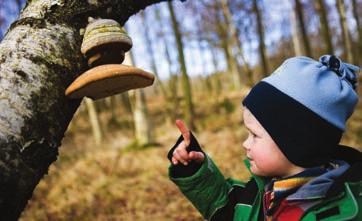 Upptäck naturen med barnen Här har vi samlat aktiviteter som passar extra bra för familjer och barn. Välkomna! Vårfåglarnas helg Getterön, Varberg Lördag och söndag 5-6 maj kl. 10.00-16.