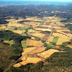 att röra sig fritt i landskapet. En passage gynnar därmed i första hand de individer som råkar ha sina hemområden i närheten.