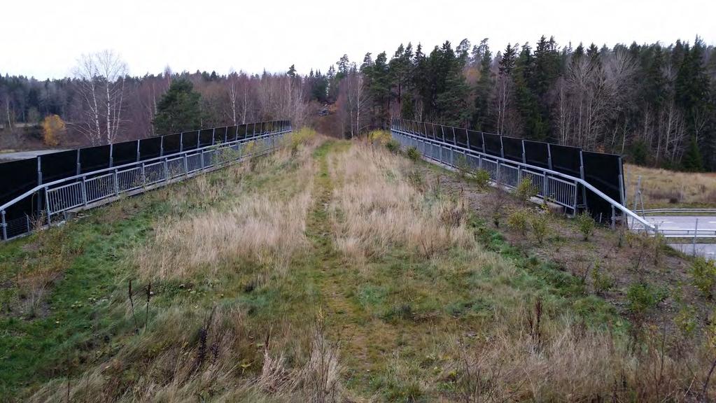 passagerna är större återstår ett vandringshinder eller permeabilitetsbrist med ett visst åtgärdsbehov (läs vidare i kapitel 3.6.1).