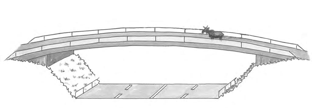 3.5 Definitioner och mått Effektivitetsmodellen bygger på bl a passagens bredd och längd. Dessa mått är inte samma som brokonstruktionens bredd och längd enligt BaTMan.