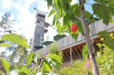 Om boendet haft särskilda kostnader med anledning av er beställning blir ni ersättningsskyldig för dessa. Vad händer vid sen ankomst? Rummen är reserverade för senaste ankomst 18.00.