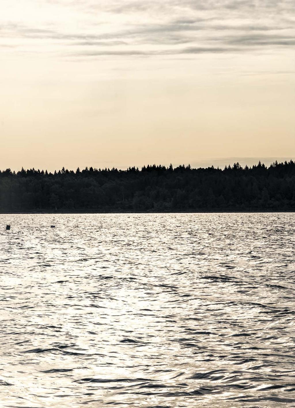 REPORTAGE TIRAHOLMS FISK NÄR DU FÖLJER VÄGVISNINGEN MOT TIRAHOLM BLIR VÄGEN SMALARE OCH SMALARE TILLS DU KÖR EN SMAL, SLINGRANDE GRUSVÄG GENOM TÄT SKOG.