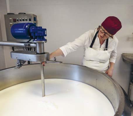 Här planerar hon att ysta cirka 9 000 kg ost per år av den fina obehandlade fjällkomjölken från Vuollerim Gård.