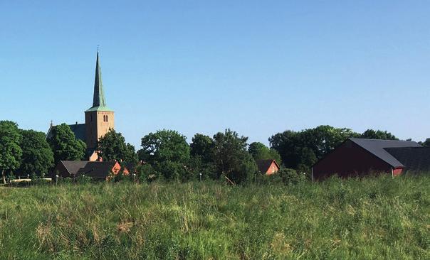 Projektidéer Samverkan Under hösten 2018 ska arbetsgruppen arbeta fram förslag till olika samverkansformer och aktiviteter, samt undersöka möjligheter till att söka projektpengar från fonder och