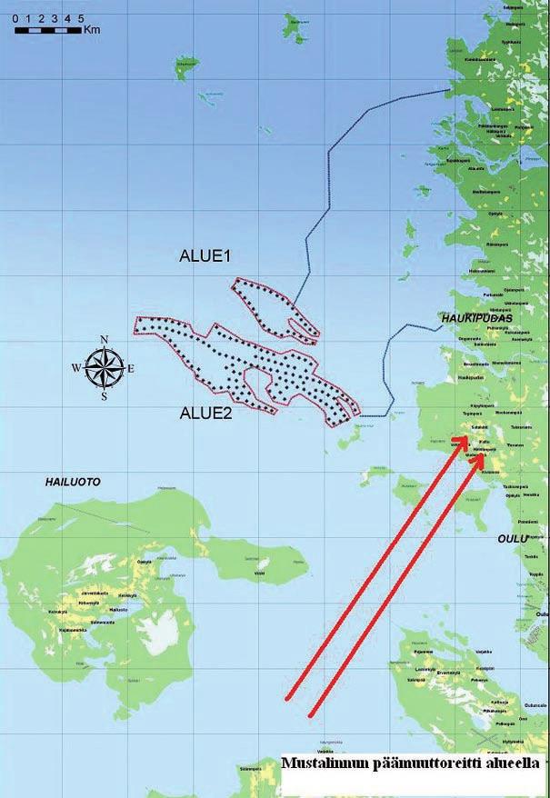 Figur 5 12. Fjällvråkens främsta flyttstråk utanför Uleåborg-Haukipudas. Figur 5 13.
