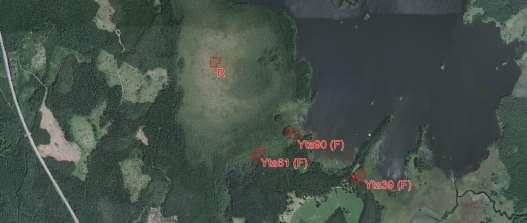 Gölsmossen i Hedesundafjärdens naturreservat med en verifierad referensyta (R) och tre verifierade förändringsytor,
