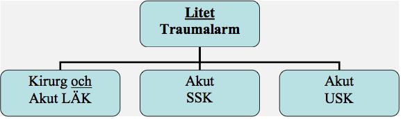 På Norrlands universitetssjukhus ser traumateamets sammansättning olika ut beroende på om det dras ett stort eller ett litet traumalarm.