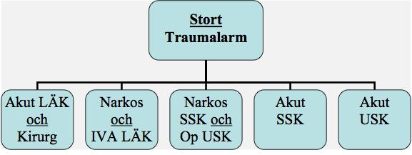 Resursfördelning litet traumalarm Bild 3. Arbetsuppgifter vid traumalarm.