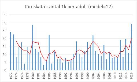 Fågelräkning och