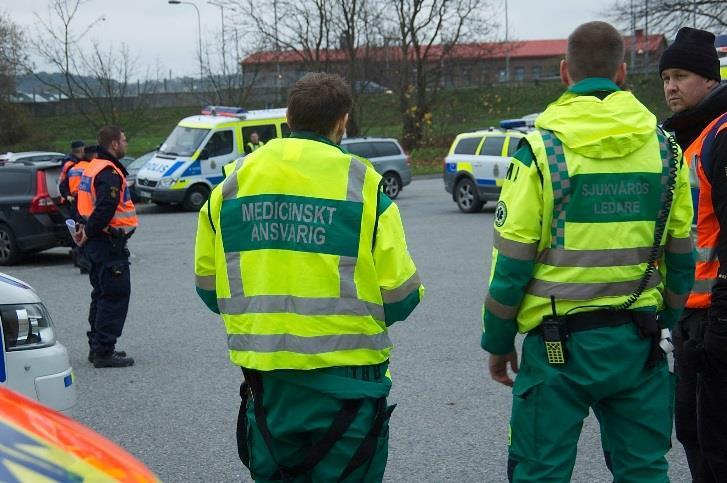 Oppgaver Sykepleien ansvarar för den medicinska bedömningen (även tillgång till sykehusjournaler) Kun sykepleien vårdar svårt sjuka patienter i