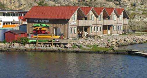 Båtlivet är en mycket omfattande, komplex och växande turistfaktor på Tjörn. Ändå finns inget som helst samlat dokument eller policy inom kommunen.
