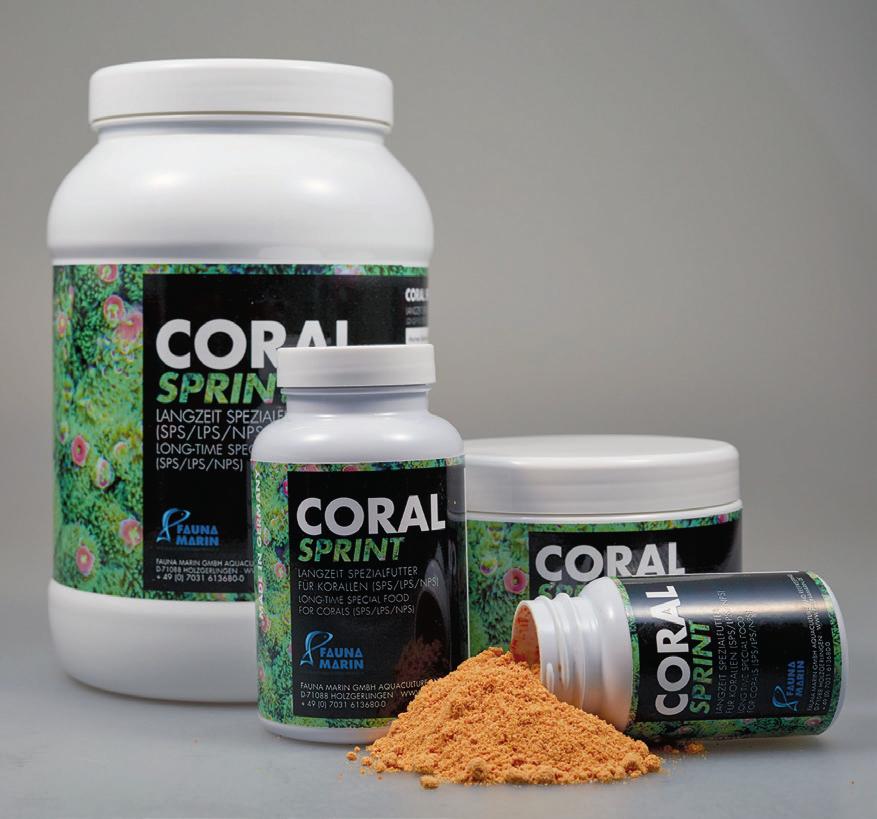 I den här versionen av Fauna Marins användarguide, erbjuder vi olika råd, tips och riktlinjer hur du ska få optimal effekt för ditt akvarium med Coral sprint.