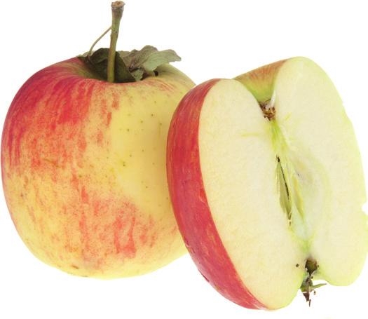Äpplet har ett glänsande skal som kan upplevas fett när äpplet mognar. Detta pga ett naturligt fruktvax som tränger ut och skyddar frukten mot avdunstning och skrumpning.