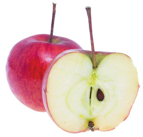 LOBO tillhör de senare höstsorterna. Sorten kommer ursprungligen från Kanada. Till Sverige kom äpplet i början av 1900 talet. RUBINOLA är ett riktigt C-vitamin paket!