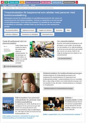 introduktionsprogram - Ger stöd i planering och vid introduktion av