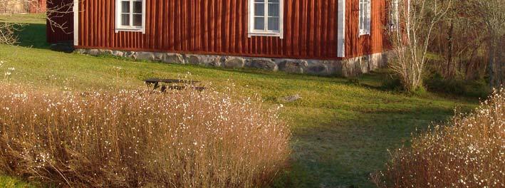 spröjsade enkelfönster med skruvade hörnjärn, stolpgångjärn och handblåst glas.