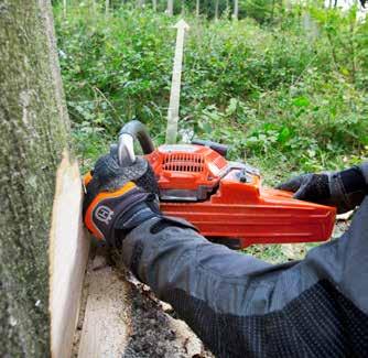 AVANCERAD TRÄDFÄLLNING Kontrollera sågens riktmedel. För att få bästa precision i fällningen bör du kontrollera att siktlinjen på sågen är anpassad till längden på det träd du tänker fälla. 1.