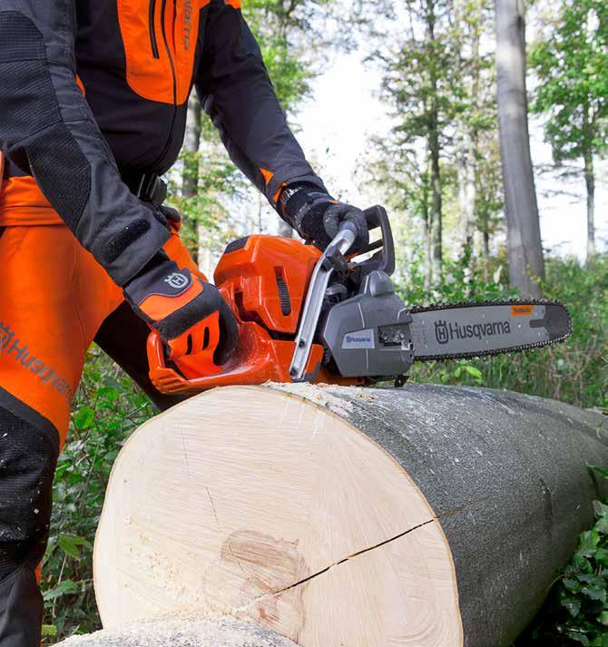 AVANCERAD TRÄDFÄLLNING Spjälk- och sprickbenägna trädslag. Spjälkningar i trädstammar beror först och främst på inre naturliga spänningar i träet på hårda eller mycket hårda trädslag, tex bok.