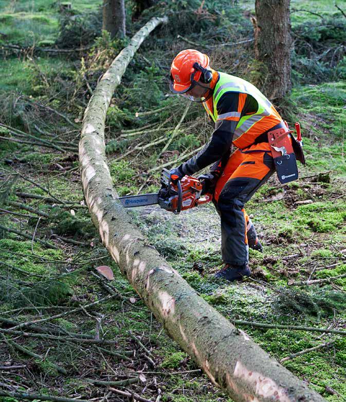 UPPARBETNING AV STORMFÄLLD SKOG Rekommenderade kaptekniker för träd i spänning.