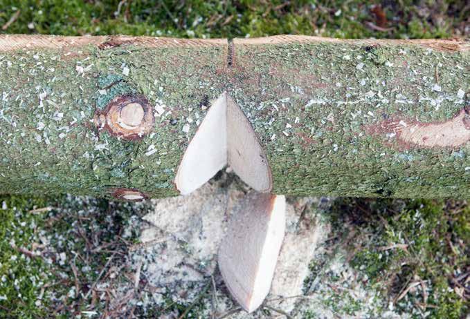 UPPARBETNING AV STORMFÄLLD SKOG Vid måttlig spänning: Öppet motkap. 1.