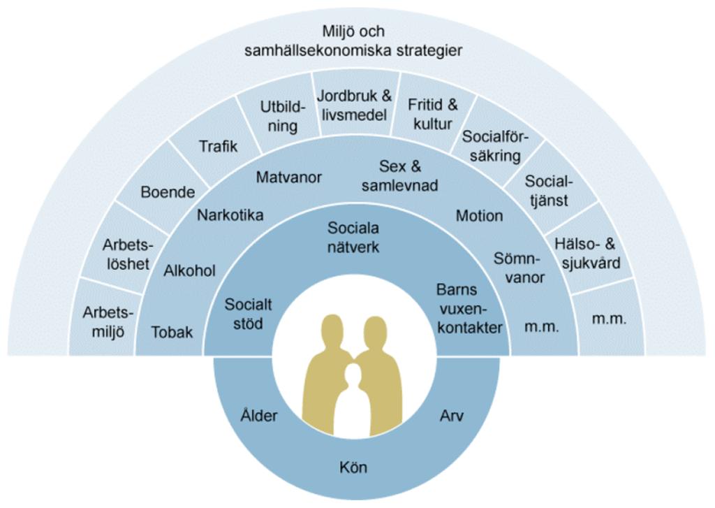 Figur 1 Hälsans bestämningsfaktorer Hälsans bestämningsfaktorer enligt Dahlgren och Whiteheads modell (1991).