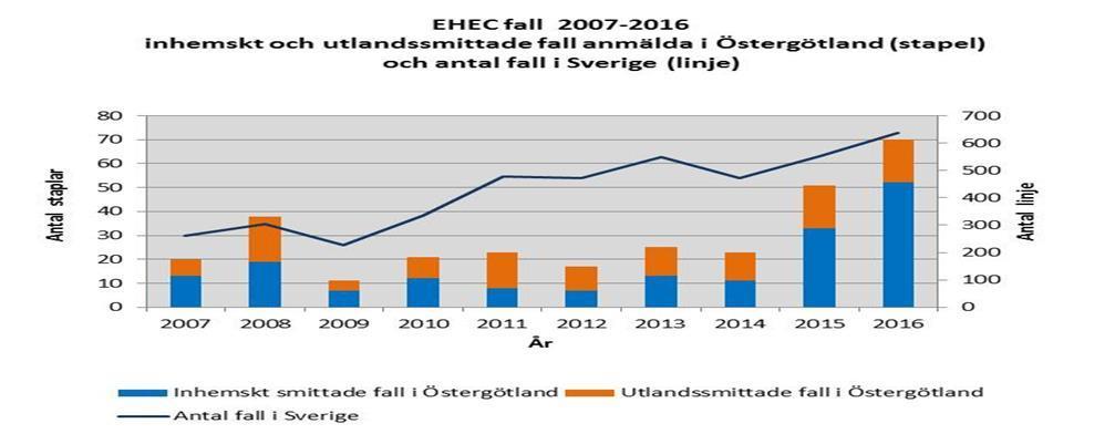 EHEC I Östergötland ser vi en kraftig ökning av EHEC-fall under de senaste två åren. Från att i snitt ha legat på en nivå med 20 anmälningar årligen, rapporterades 51 fall 2015 och 70 fall 2016.