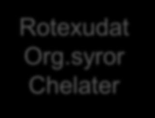 Rotexudat Org.